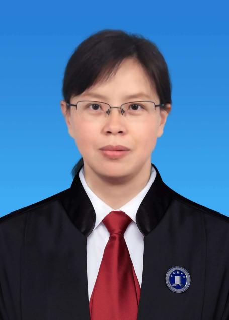 律师团队